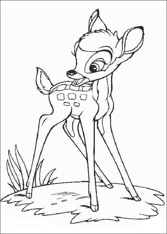 Bambi Zdarma pro Děti omalovánka
