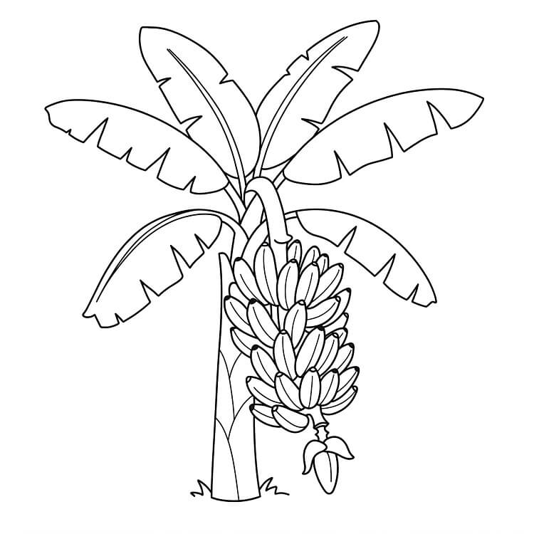 Banán Tisknutelný pro Děti omalovánka
