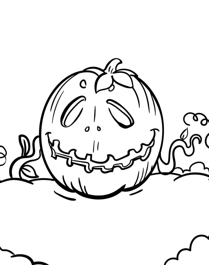 Běžná Dýně omalovánka