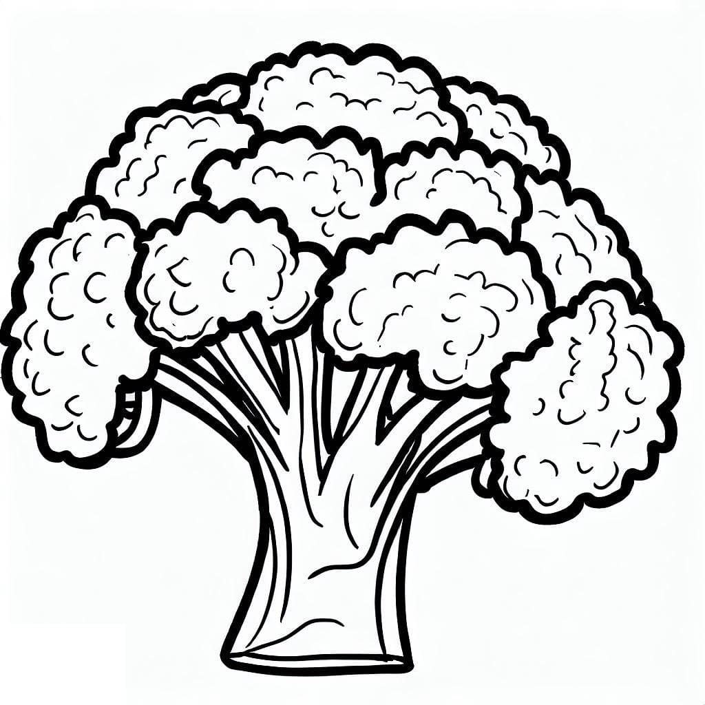 Brokolice Zelenina omalovánka