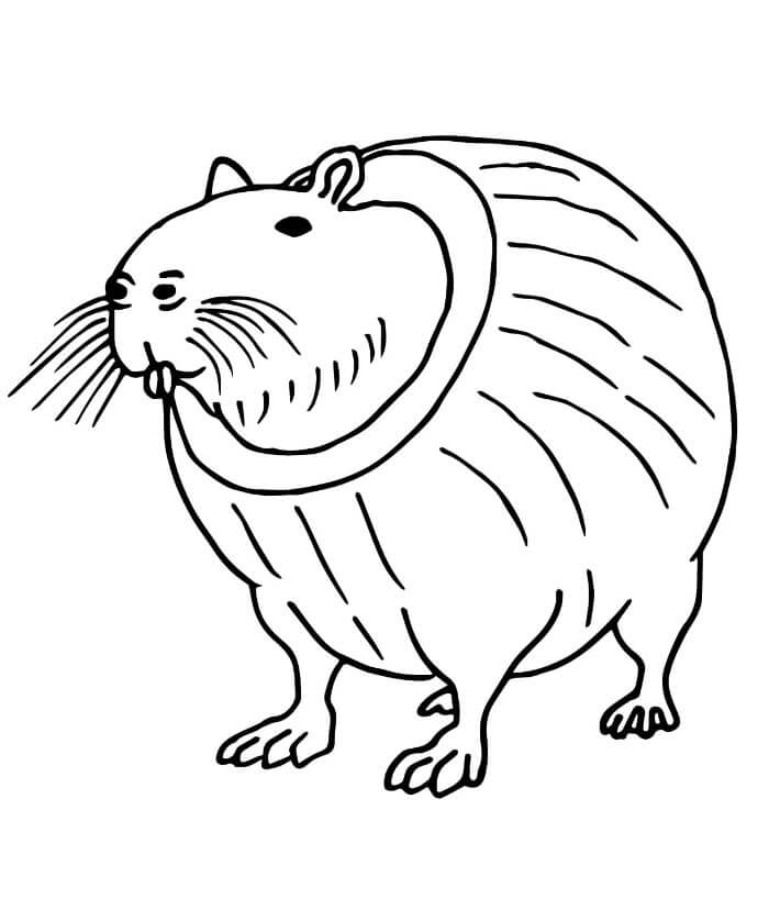 Burbaloni Lulilolli Brainrot omalovánka