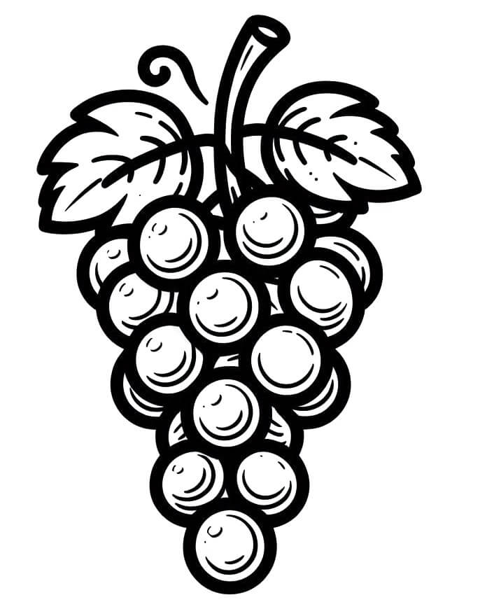 Čerstvé Hrozny omalovánka