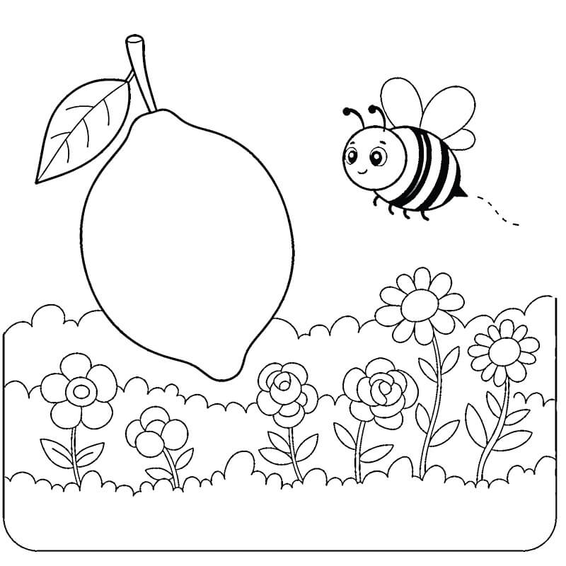 Čerstvý Citrón omalovánka