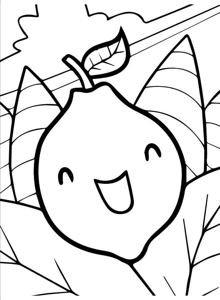 Citrón Tisknutelný omalovánka