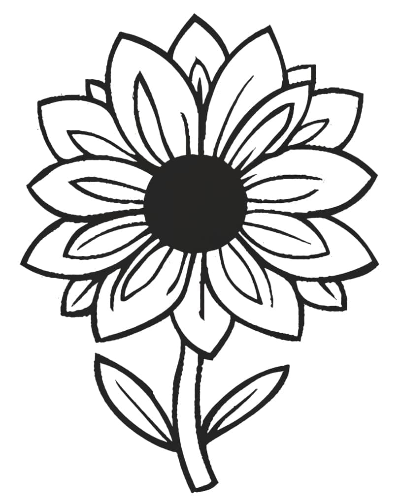 Dokonalá Květina omalovánka