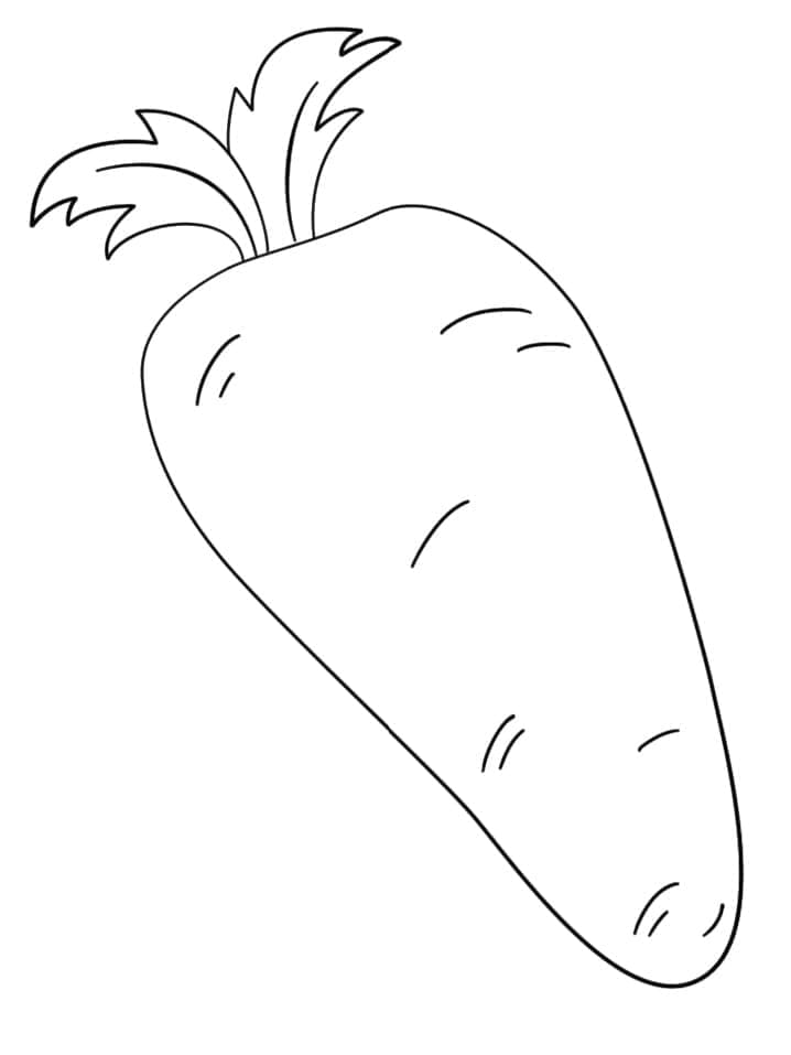 Dokonalá Mrkev omalovánka