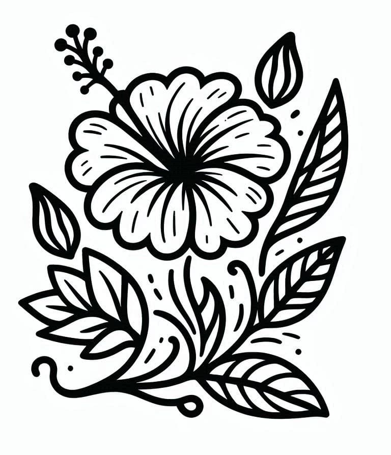 Dokonalý Ibišek omalovánka