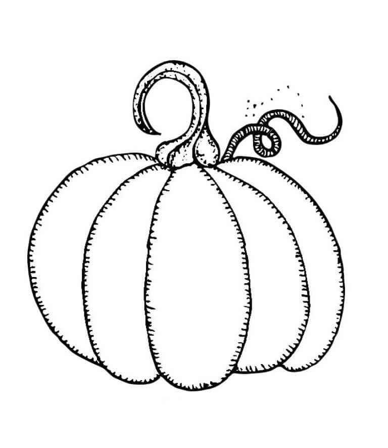 Dýně Vymalovatelné pro Děti omalovánka