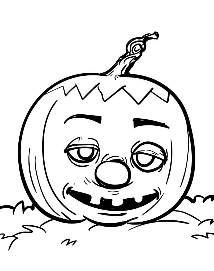 Dýně Zelenina omalovánka