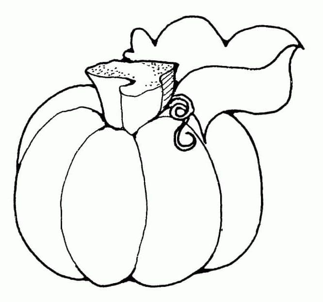 Dýně k Vymalování omalovánka