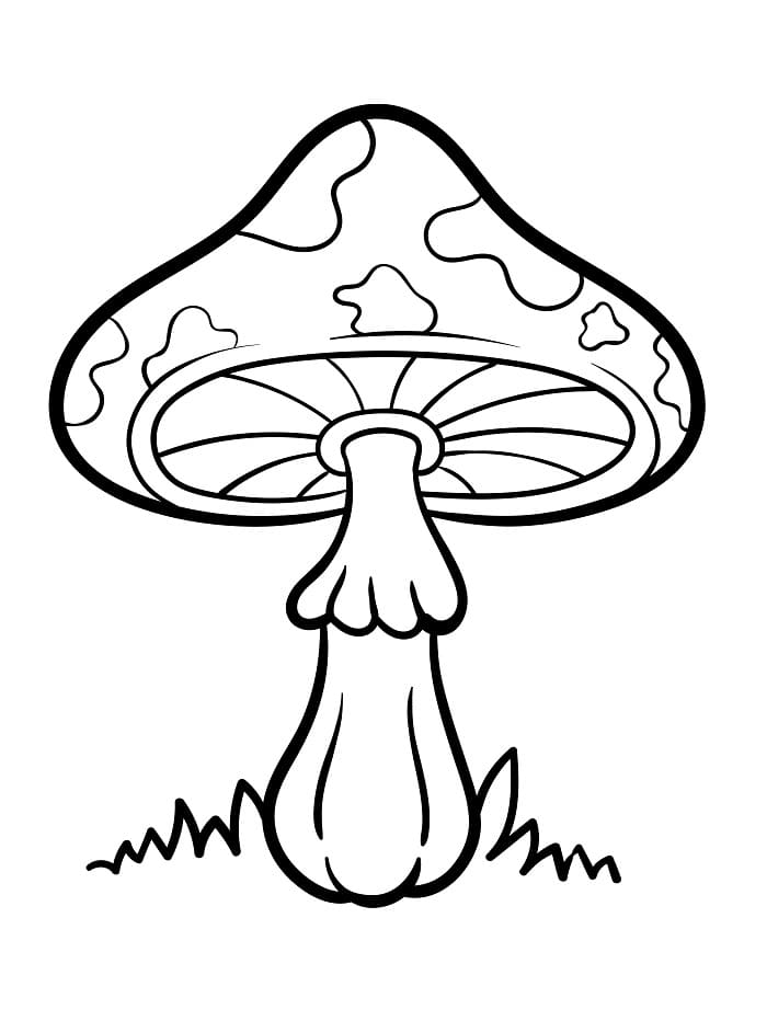 Houba Zdarma Vymalovatelné Obrázek omalovánka