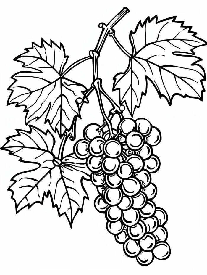 Hrozny Tisknutelné Zdarma omalovánka