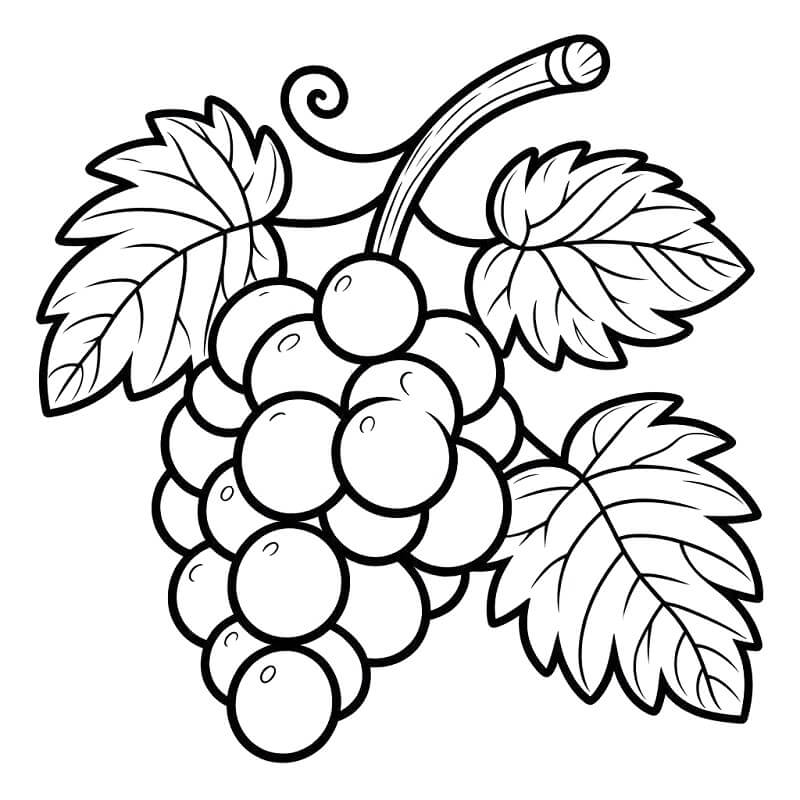 Hrozny pro Děti omalovánka