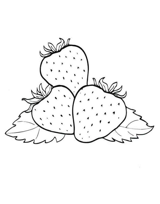 Jahoda Zdarma Vymalovatelné Obrázek omalovánka