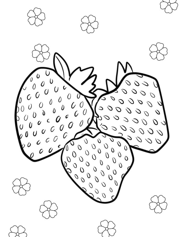 Jahoda pro 3leté Děti omalovánka