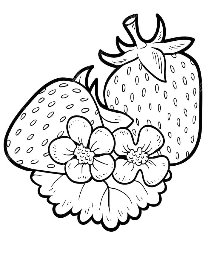 Jahoda pro 6leté Děti omalovánka
