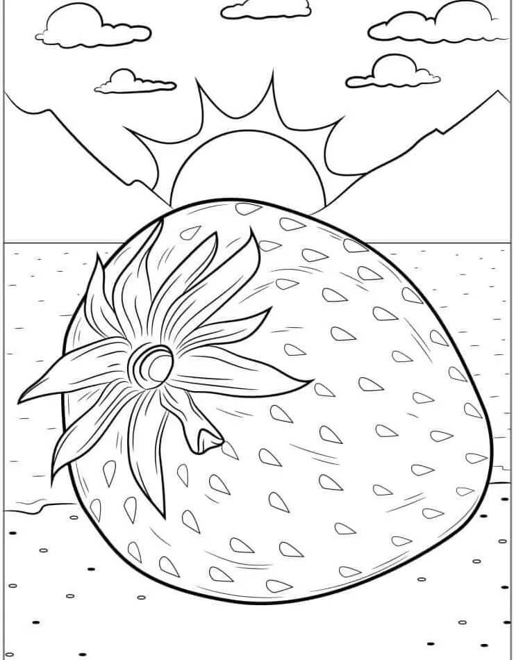 Jahoda pro Děti omalovánka