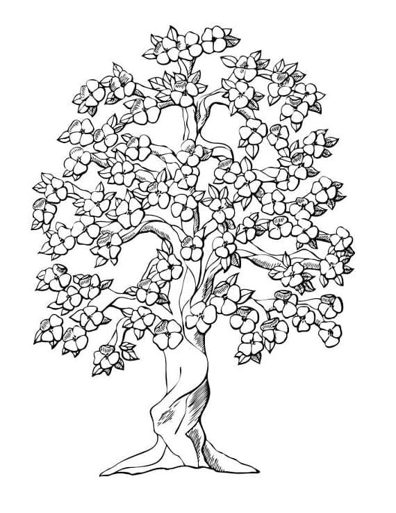 Jaro Zdarma Tisknutelná omalovánka