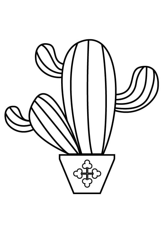 Jeden Kaktus omalovánka