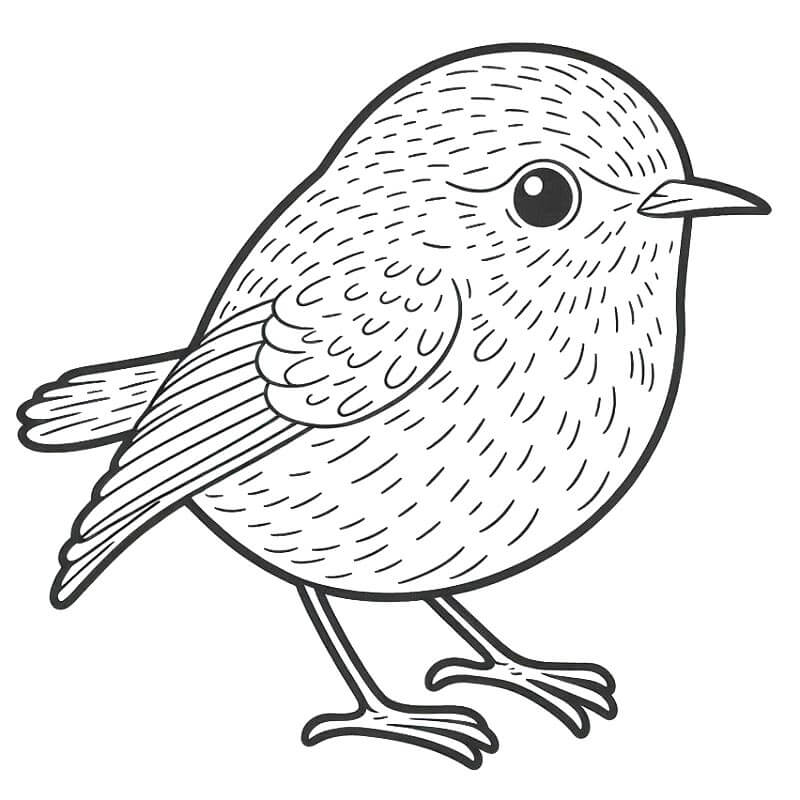 Jeden Pták omalovánka