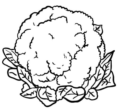 Jednoduchá Květák omalovánka