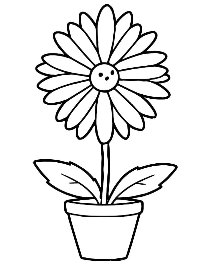 Jednoduchá Květina omalovánka