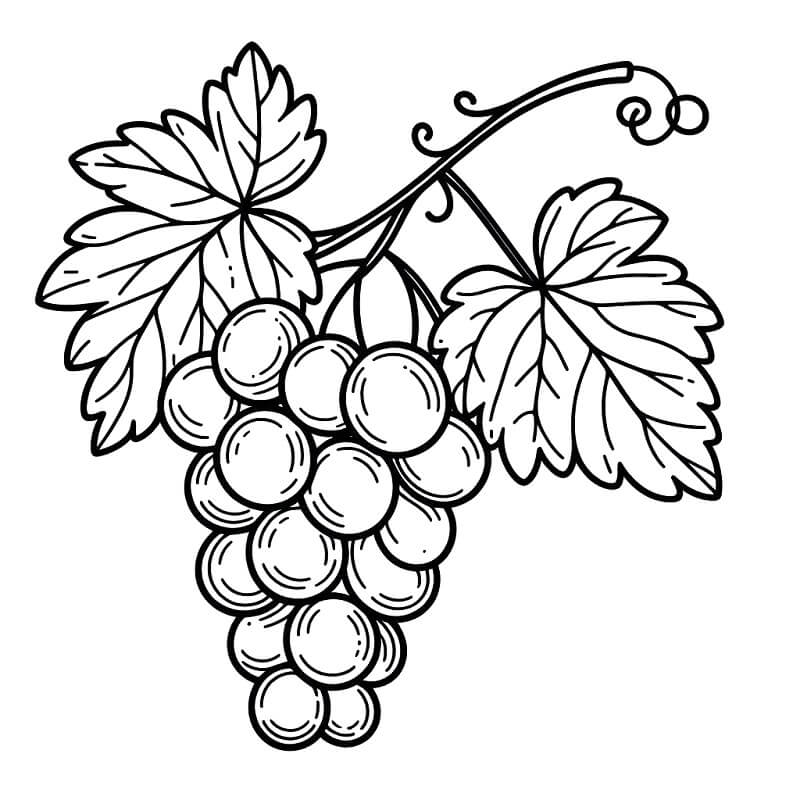 Jednoduché Hrozny omalovánka