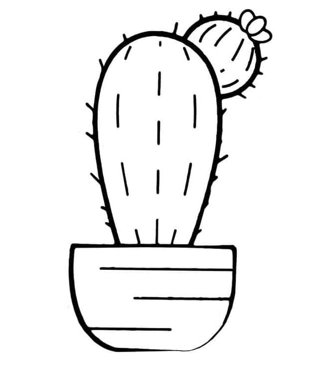 Jednoduchý Kaktus omalovánka