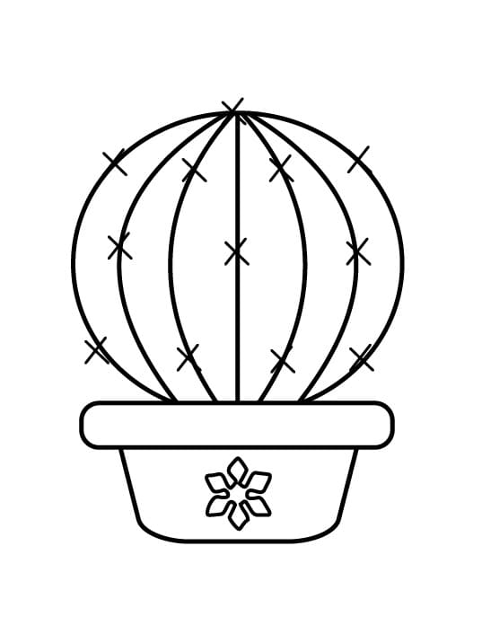 Kaktus Tisknutelný Zdarma omalovánka