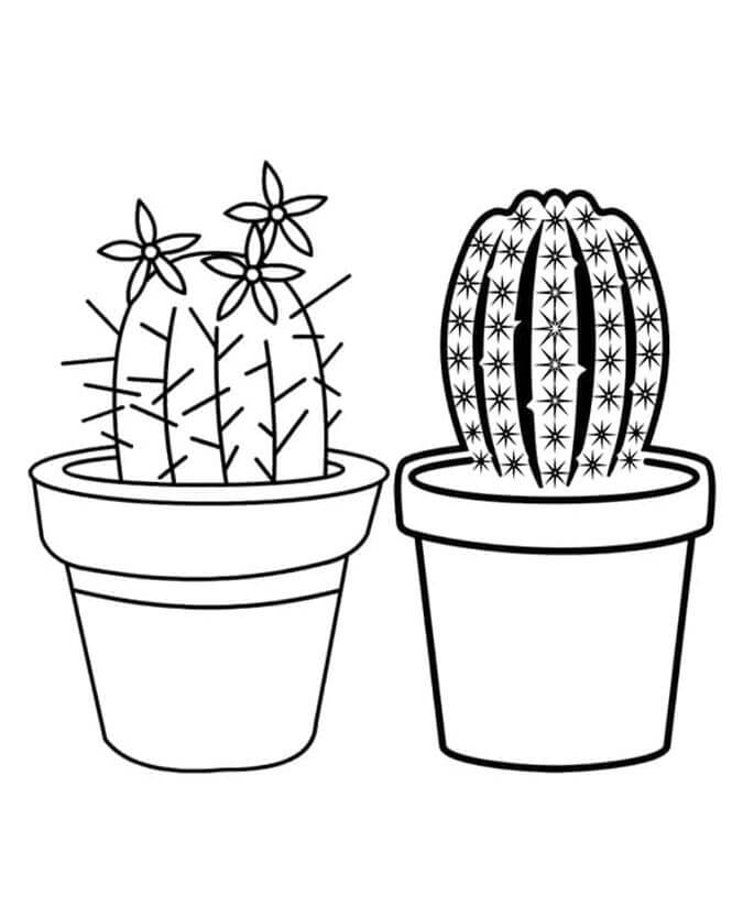 Kaktus Zdarma pro Děti omalovánka