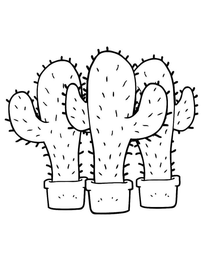 Kaktus pro Děti omalovánka