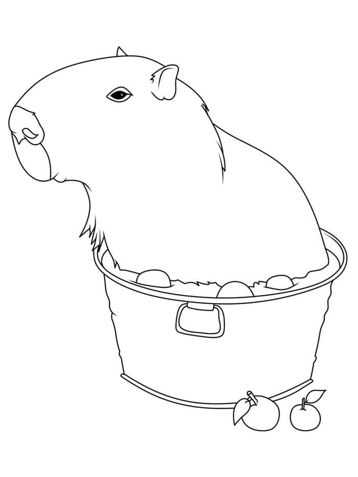 Kapybara Tisknutelný pro Děti omalovánka