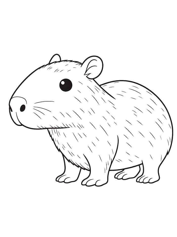 Kapybara Tisknutelný omalovánka