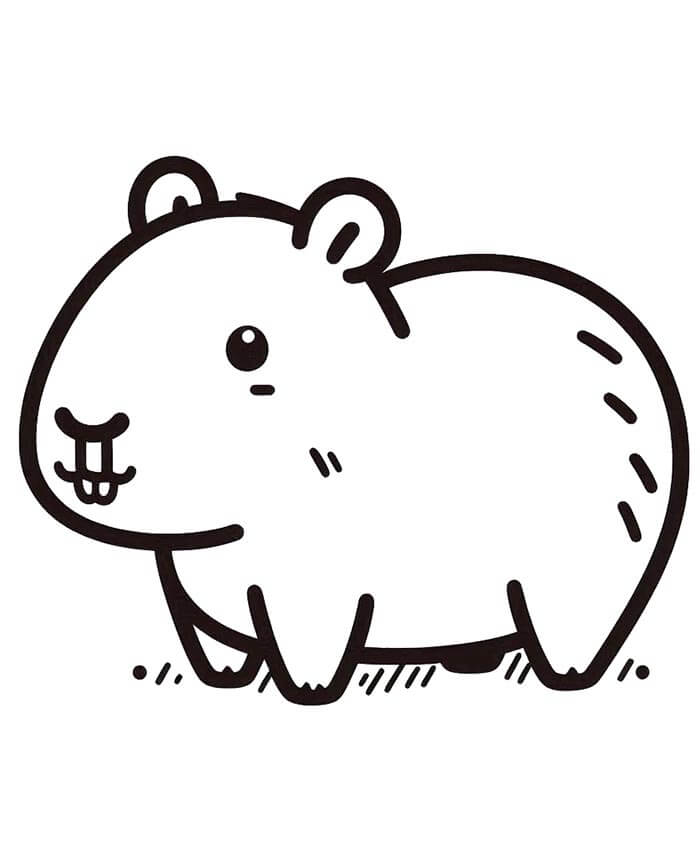 Kapybara Zdarma omalovánka