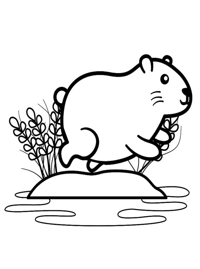 Kapybara k Vymalování omalovánka