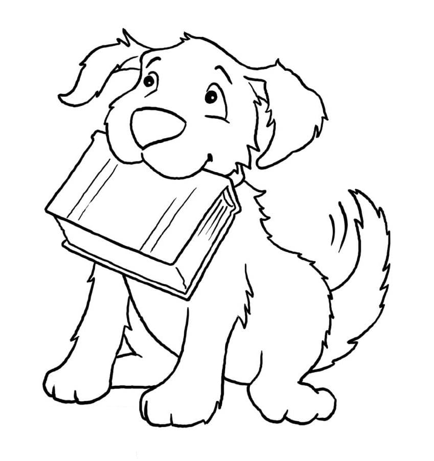 Kniha k Vymalování omalovánka