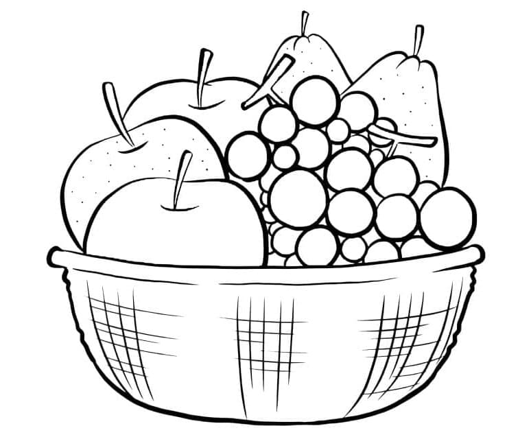 Ovocný Košík omalovánky