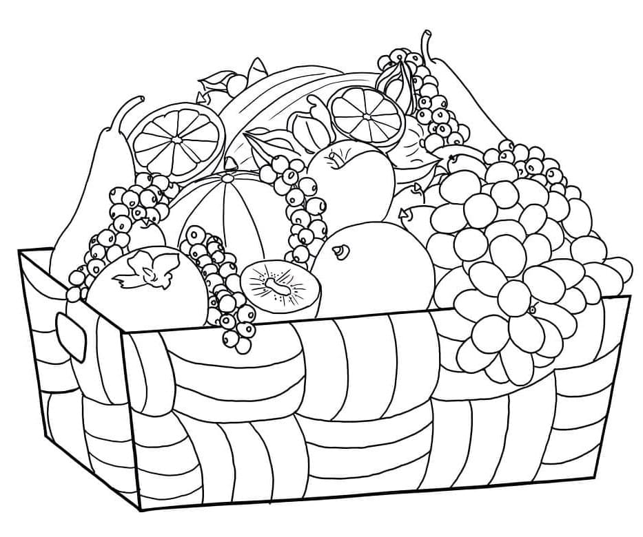 Košík s Ovocem Zdarma omalovánka