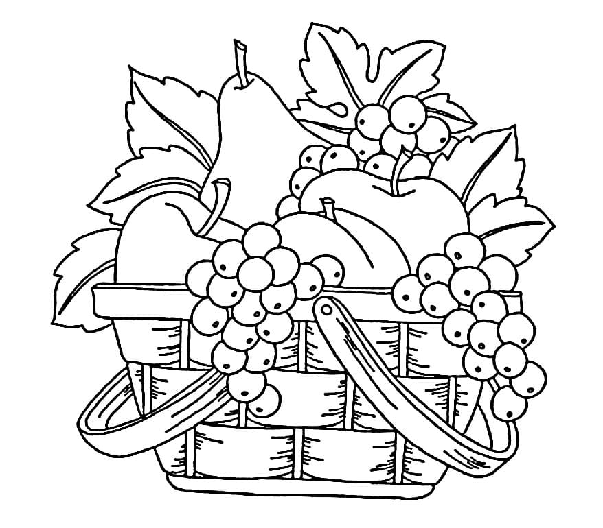 Košík s Ovocem k Tisku omalovánka
