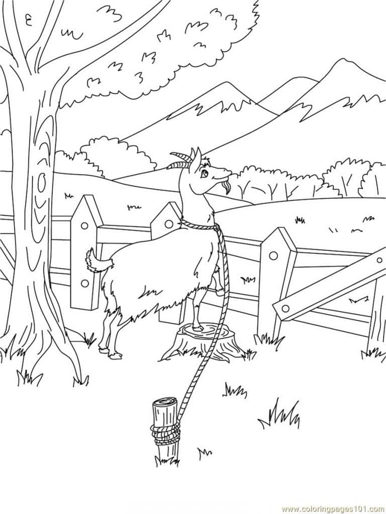 Koza Vymalovatelné pro Děti omalovánka