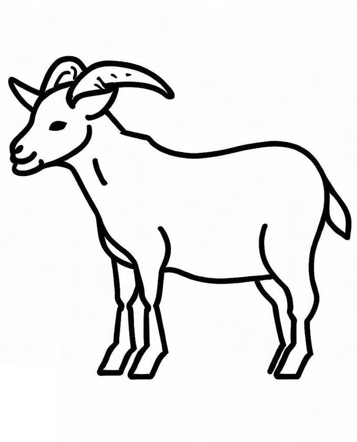 Koza Zdarma Vymalovatelné Obrázek omalovánka