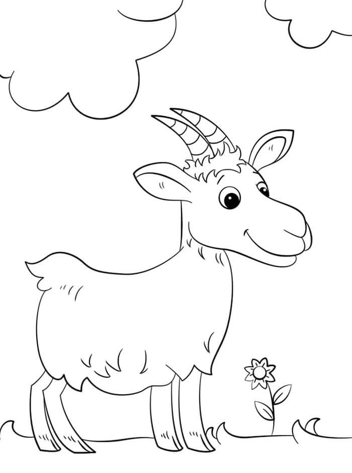 Koza pro 3leté Děti omalovánka