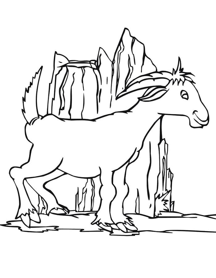 Koza pro 4leté Děti omalovánka