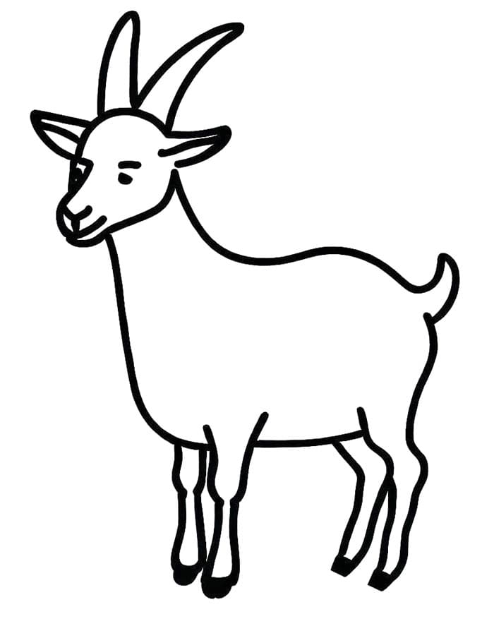 Koza pro 5leté Děti omalovánka