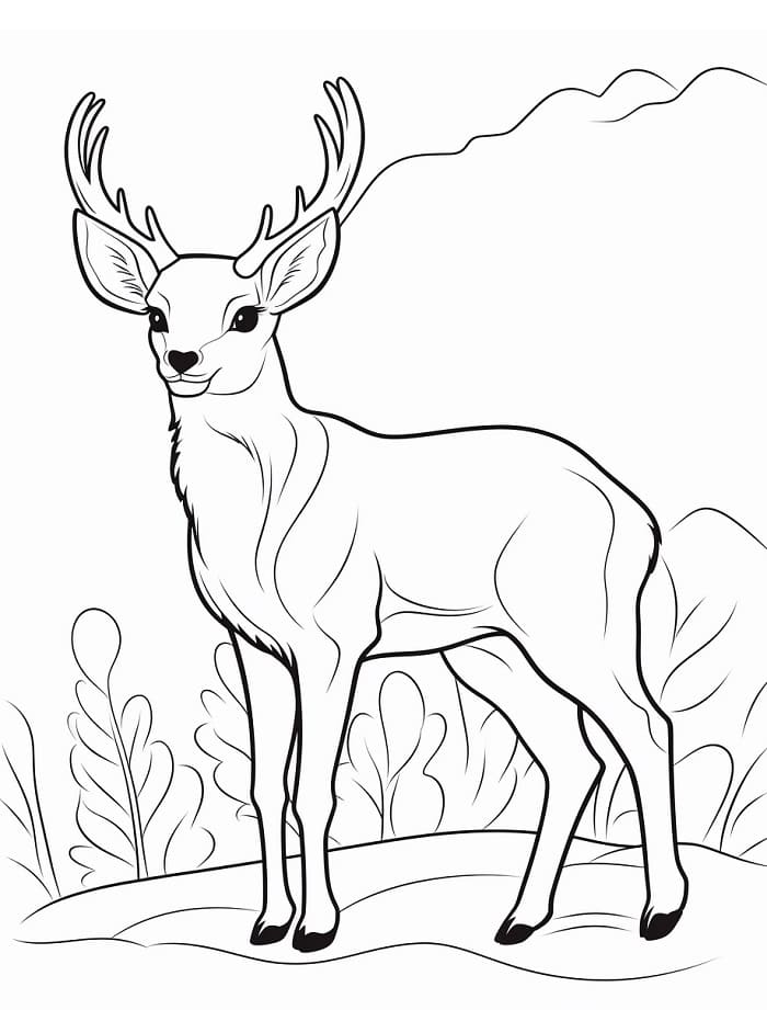 Kreslená Jelen omalovánka