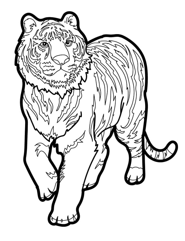 Kreslená Tygr omalovánka