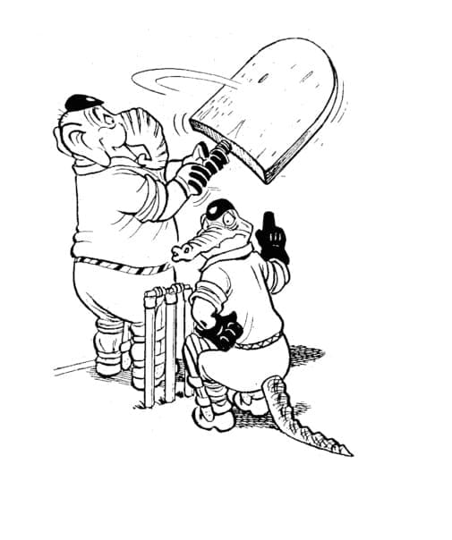 Kriketový (29) omalovánka