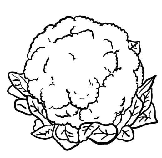 Květák Zelenina omalovánka
