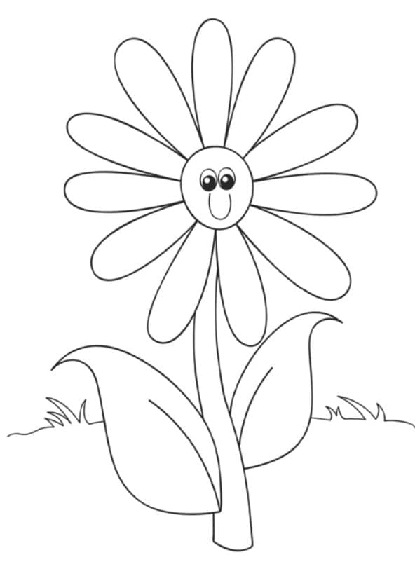 Květina (3) omalovánka