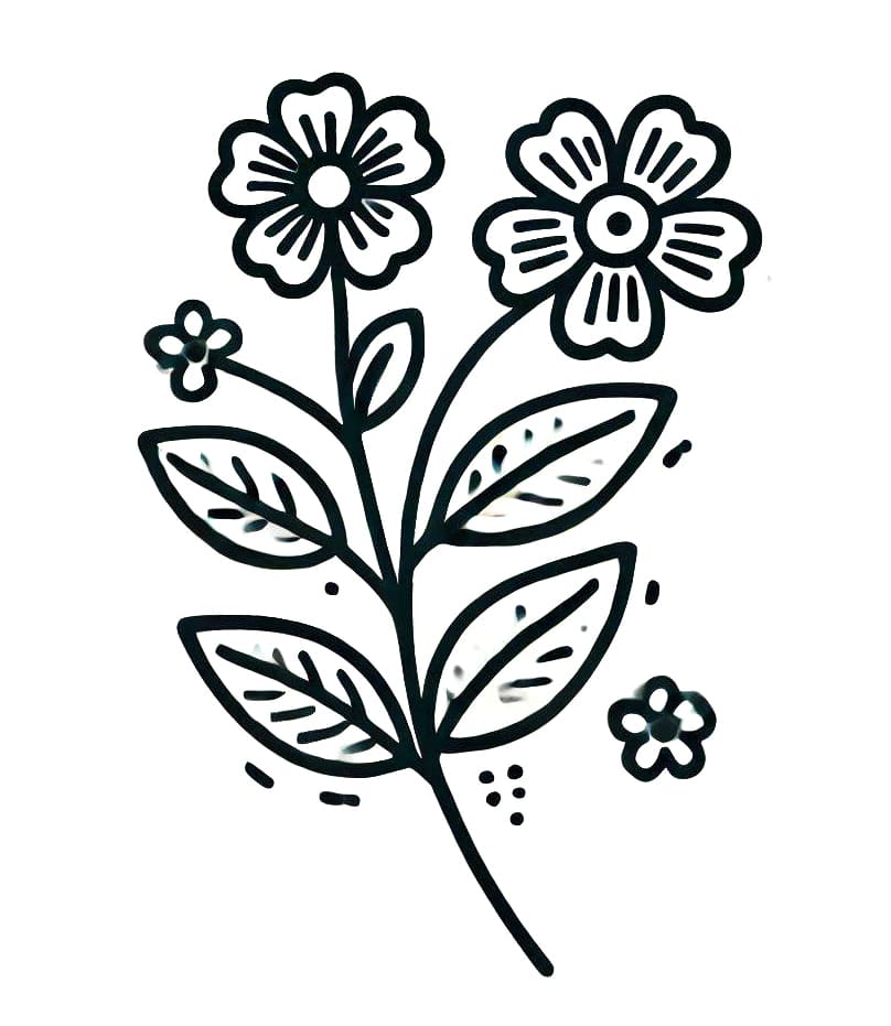 Květina Zdarama omalovánka